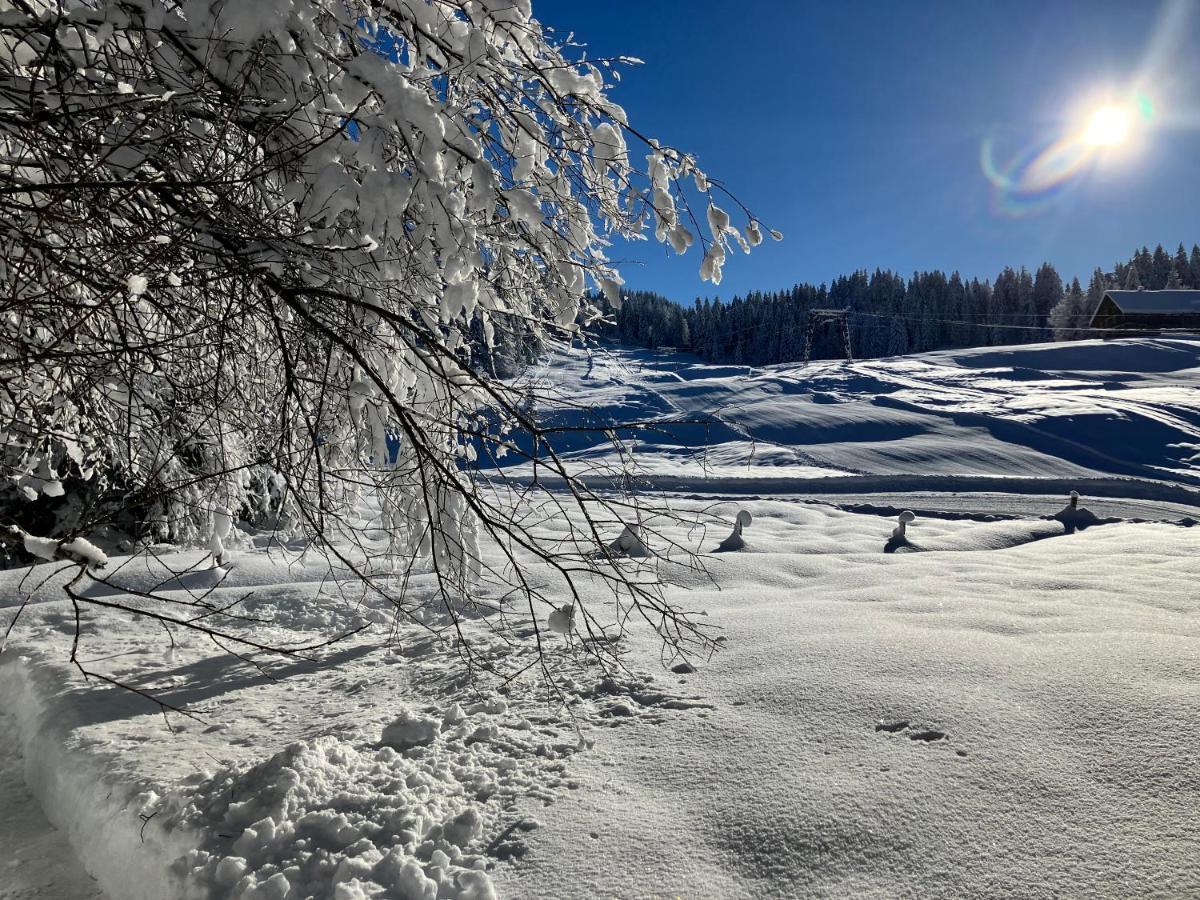 Ferienwohnung Bergblick Am Rande Der Wildnis Sibratsgfall Экстерьер фото