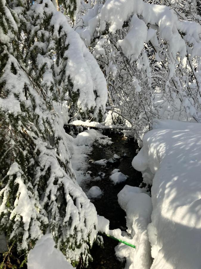 Ferienwohnung Bergblick Am Rande Der Wildnis Sibratsgfall Экстерьер фото